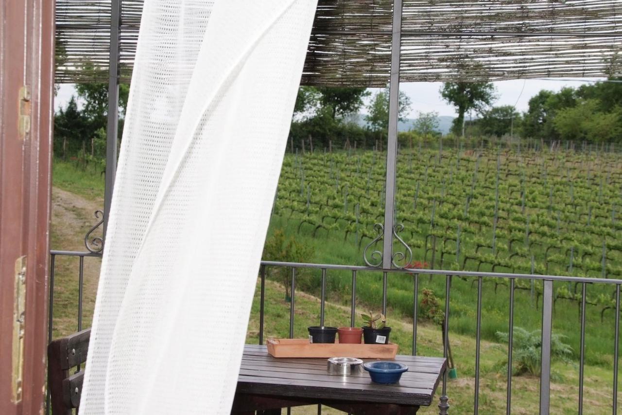 Il Pino Bioagricoltura Villa Terranuova Bracciolini Eksteriør billede